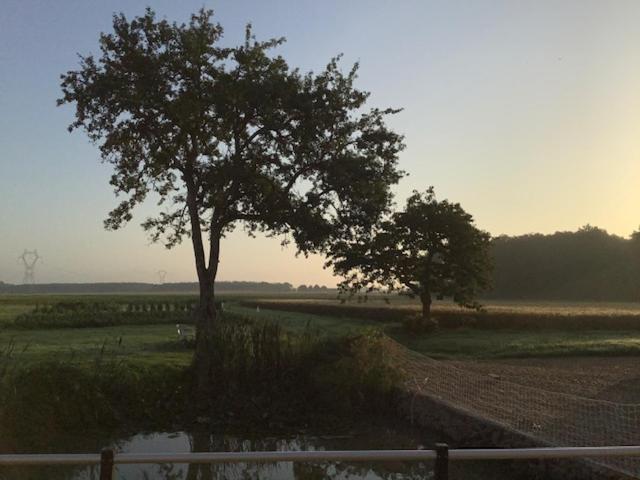 Entre Loire Et Campagne