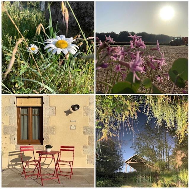 Holiday home Entre Loire Et Campagne *